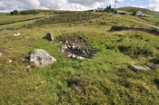 _DSC6139.jpg
