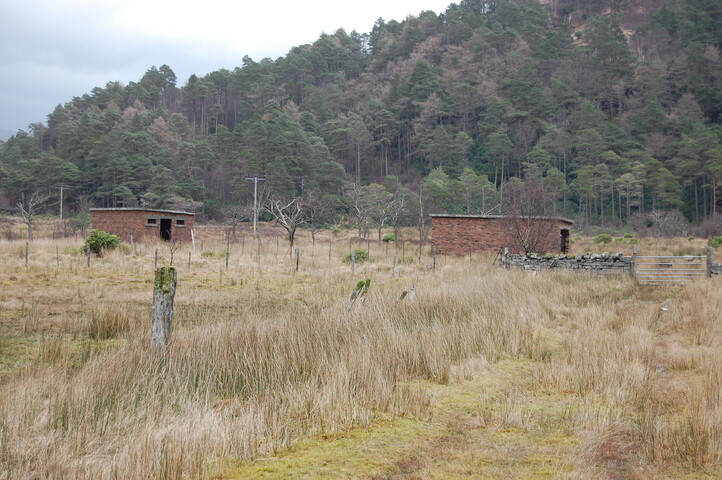 SHG25063_32.jpg