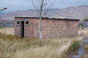 SHG25063_33.jpg