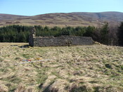 DSC05822.JPG