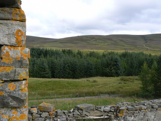 P1080536.JPG