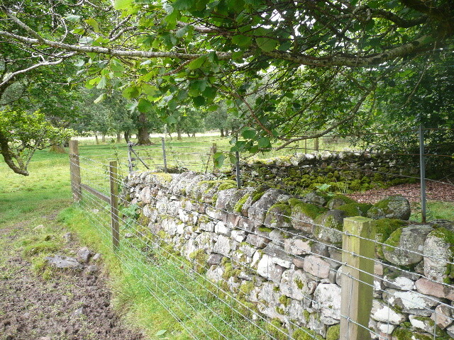 P1050801.jpg