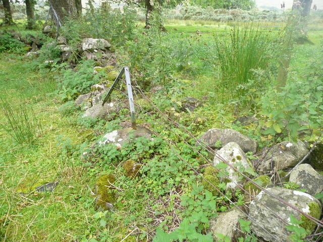P1050814.jpg