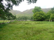 P1050815.jpg