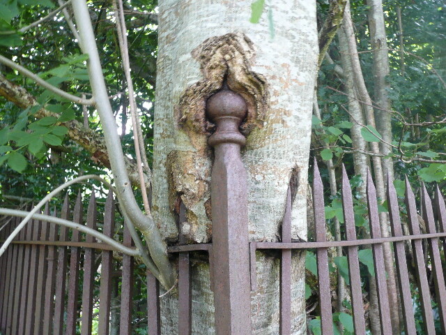 P1050847.jpg