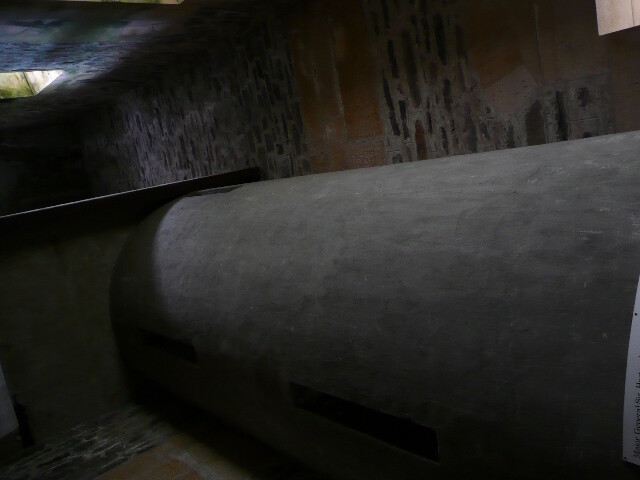 P1030016.jpg