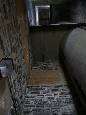 P1030017.jpg