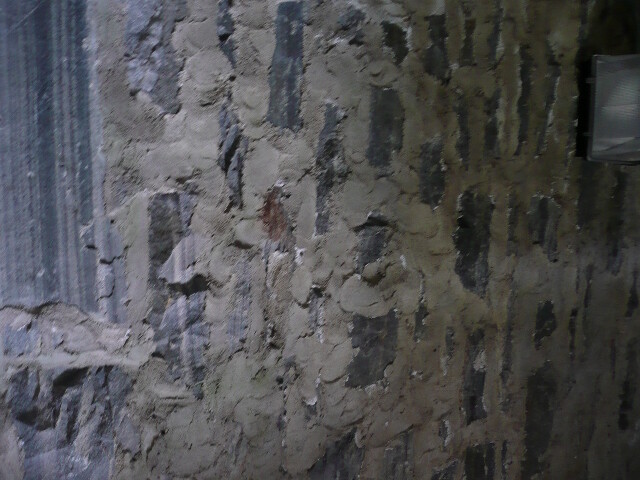 P1030021.jpg