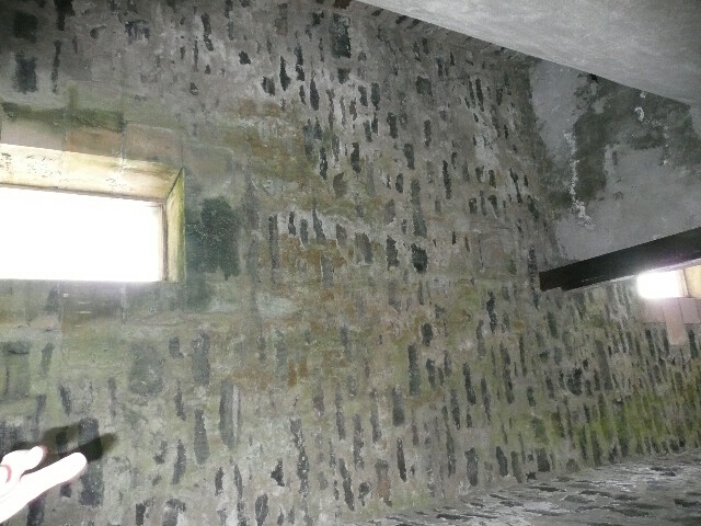P1030055.jpg
