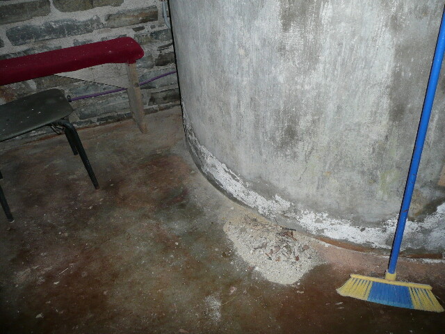 P1030061.jpg