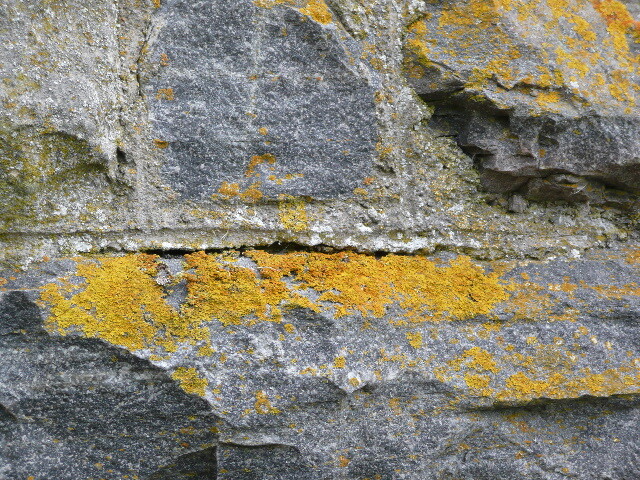 P1030083.jpg