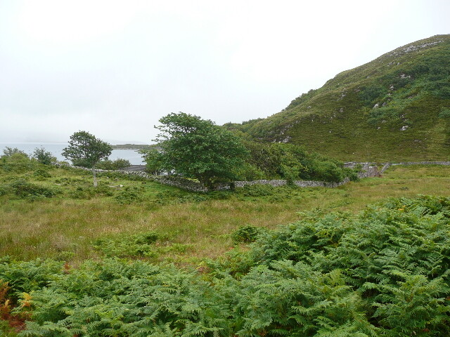 P1040315.jpg