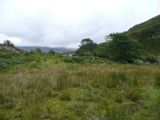 P1040318.jpg
