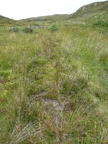 P1040320.jpg