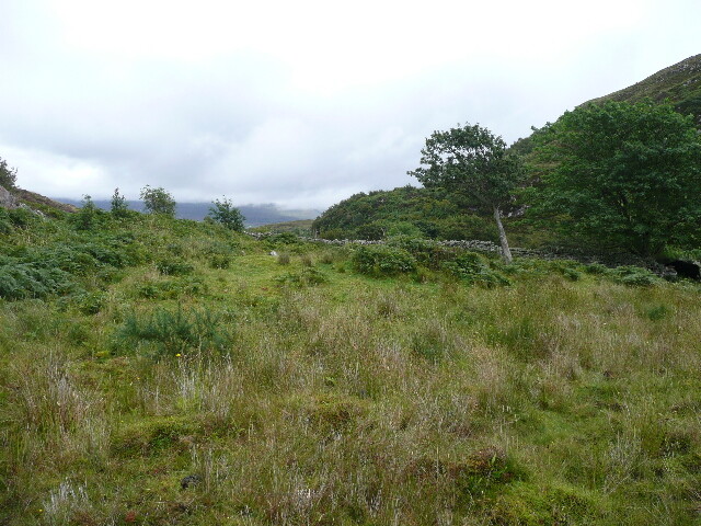 P1040322.jpg