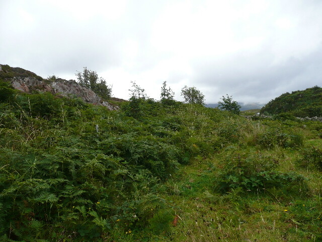 P1040326.jpg
