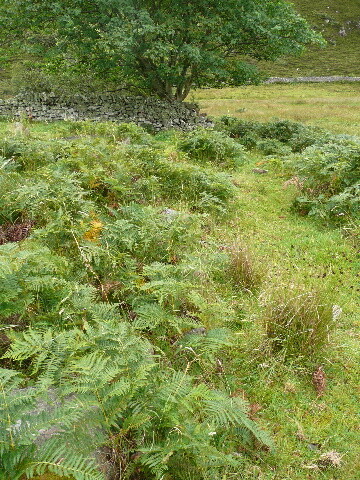 P1040336.jpg