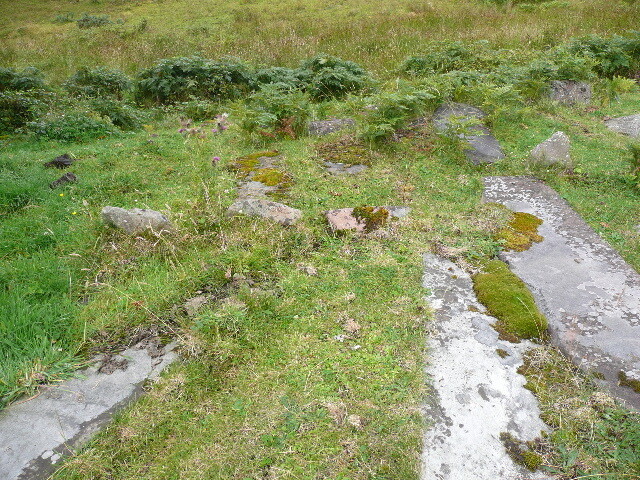 P1040341.jpg