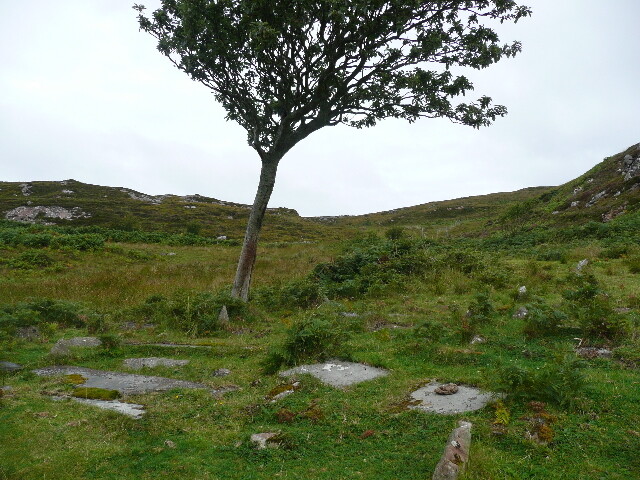 P1040342.jpg