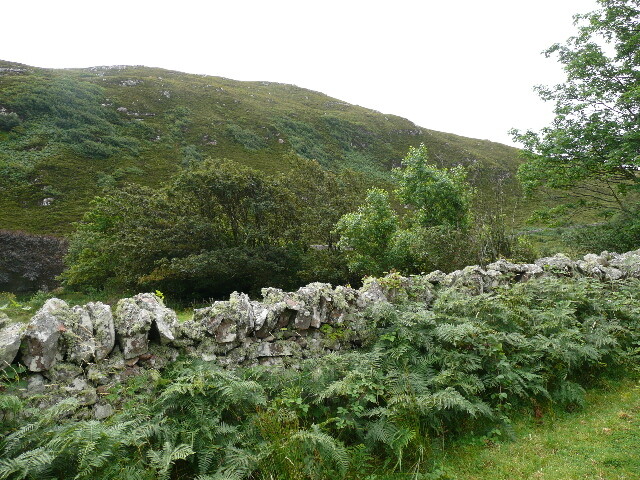 P1040349.jpg