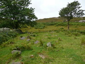 P1040350.jpg