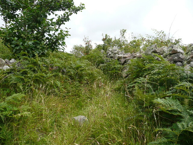 P1040352.jpg