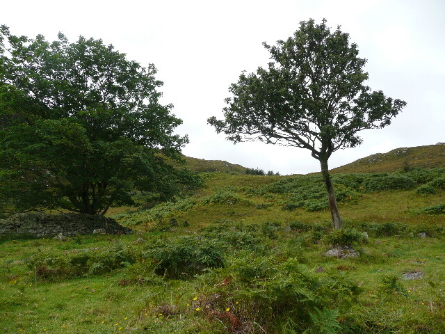 P1040354.jpg