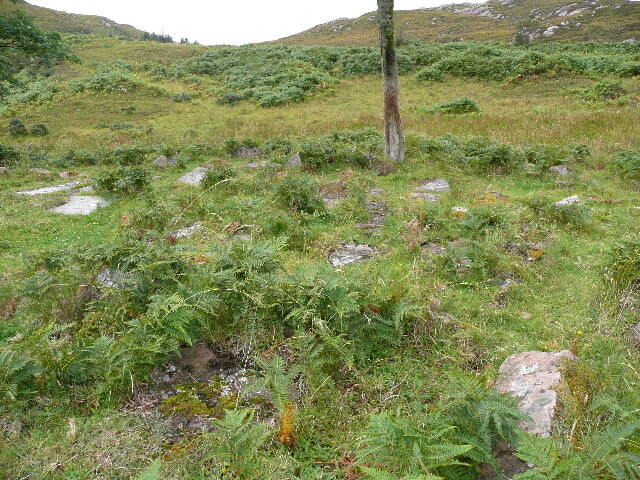 P1040355.jpg