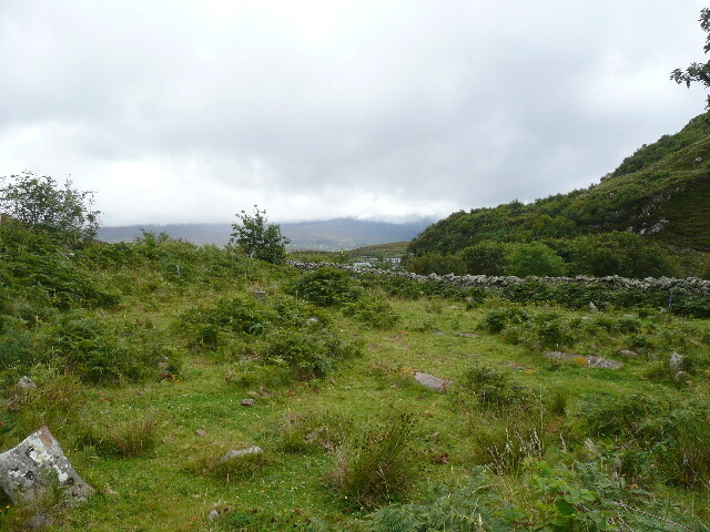 P1040362.jpg