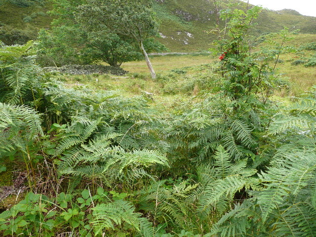 P1040364.jpg