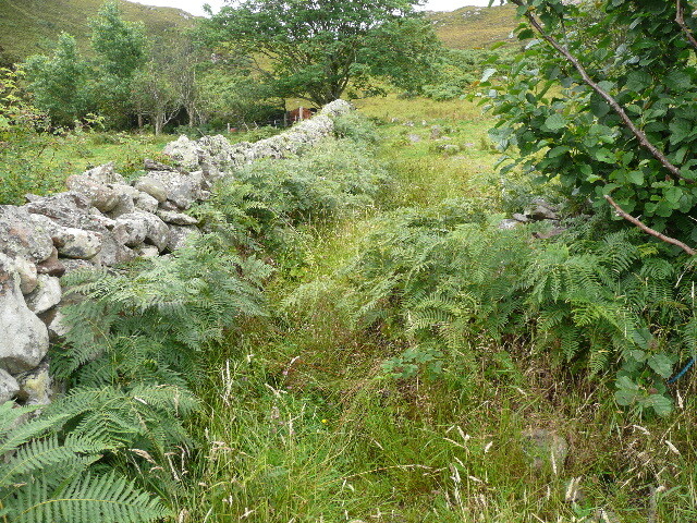 P1040366.jpg