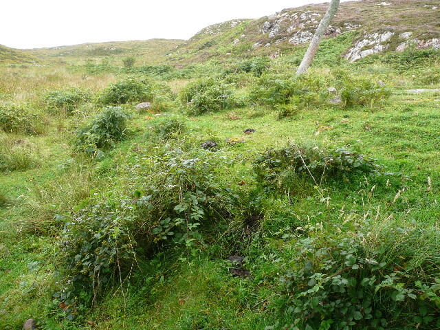 P1040372.jpg