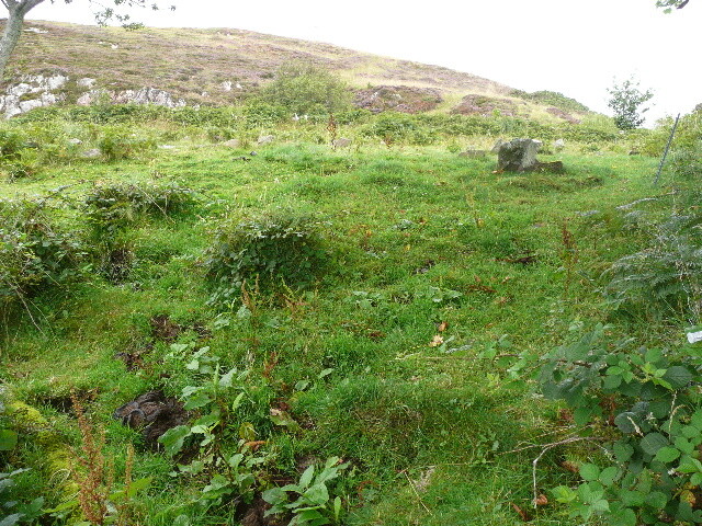 P1040375.jpg