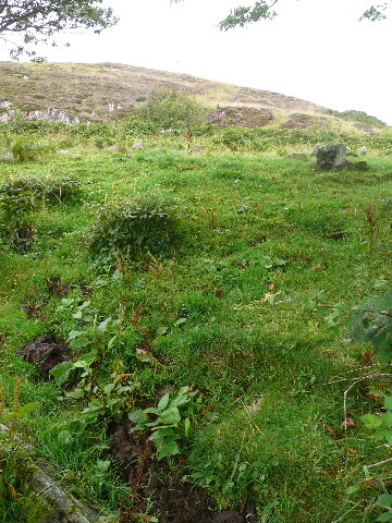 P1040376.jpg