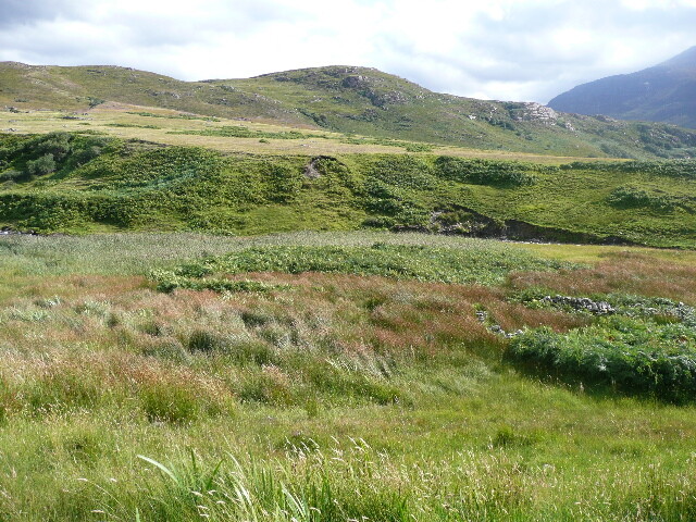 P1050565.jpg