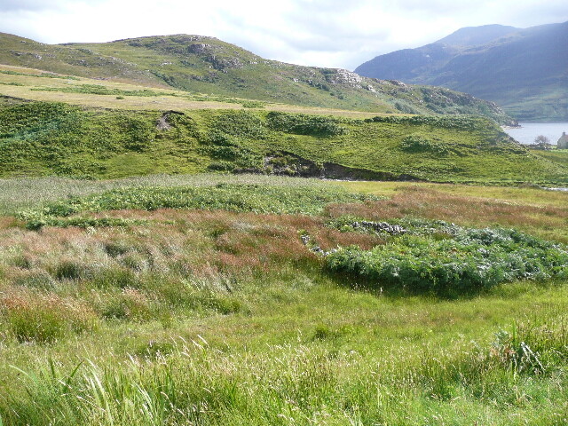 P1050566.jpg