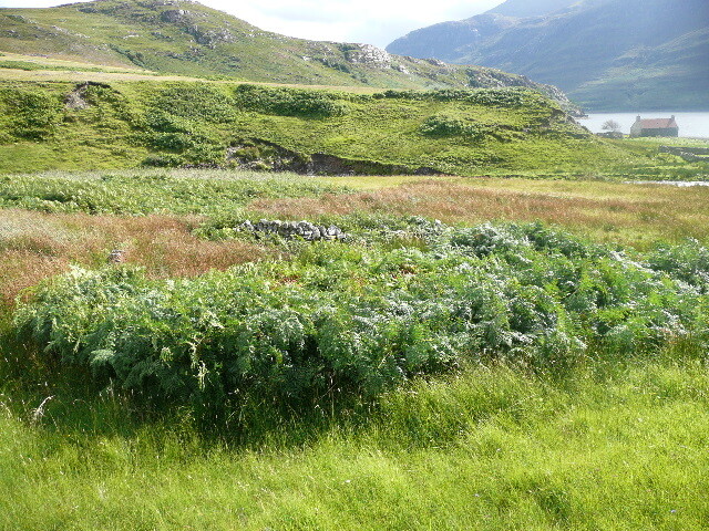 P1050567.jpg