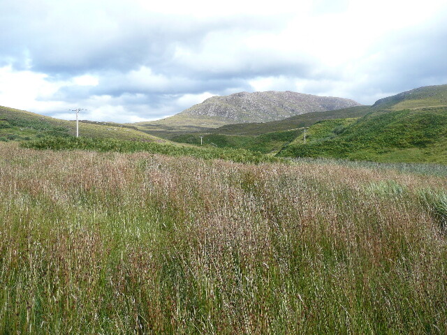 P1050570.jpg