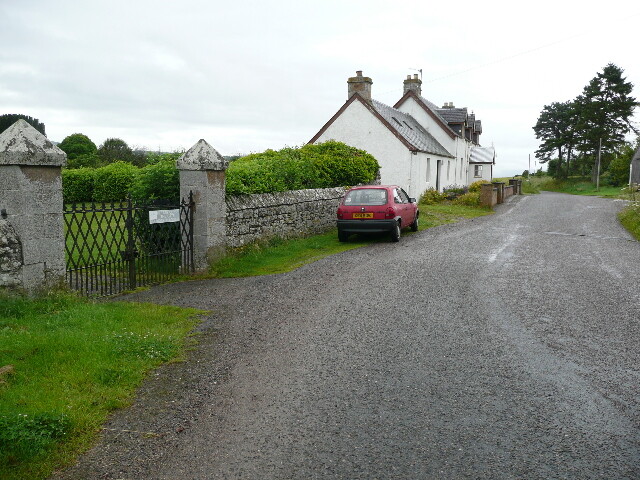 P1020030.jpg