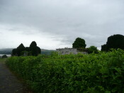 P1020035.jpg