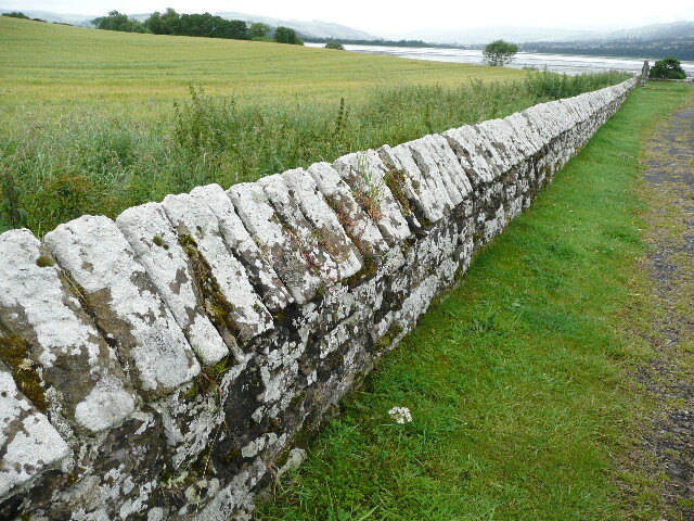 P1020037.jpg