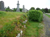 P1020039.jpg