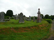 P1020041.jpg