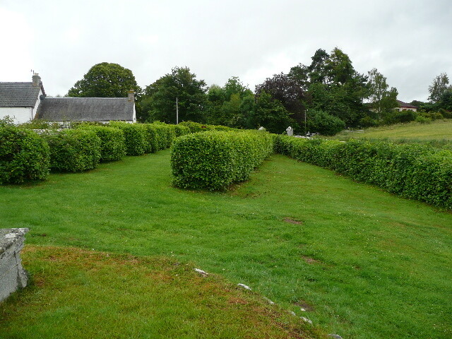 P1020042.jpg