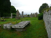 P1020050.jpg
