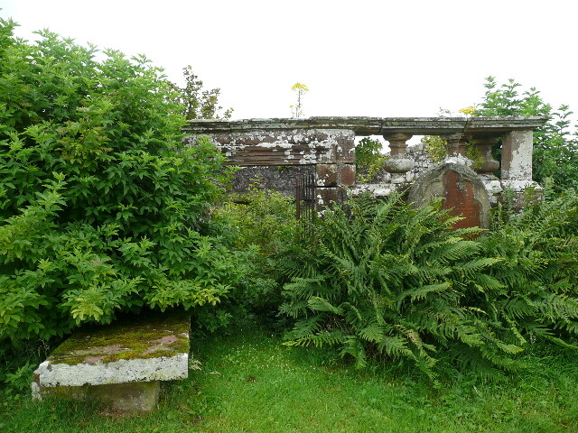 P1020056.jpg