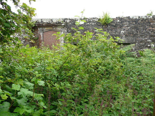 P1020061.jpg