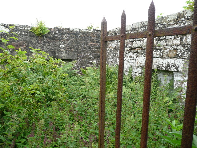 P1020063.jpg