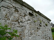 P1020065.jpg