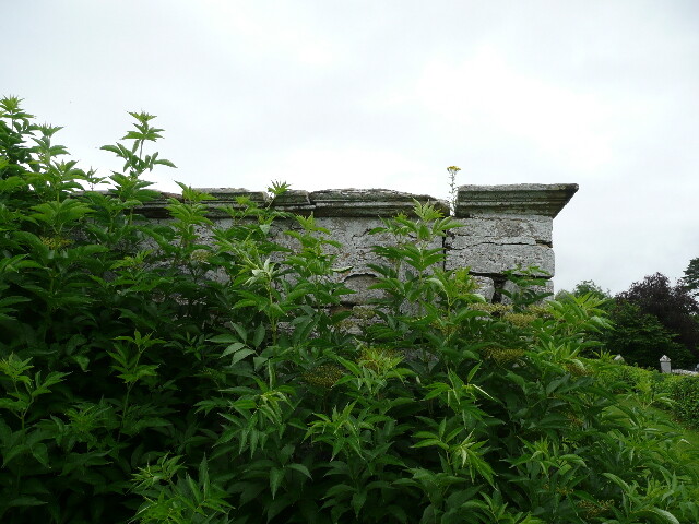 P1020066.jpg